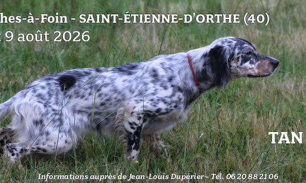 Saint-Étienne-d&rsquo;Orthe (40) : TAN & JRSA les 8 et 9 août 2026
