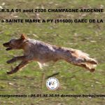 Sainte-Marie-à-Py (51) : TAN samedi 1er août 2026