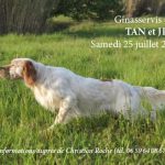 Ginasservis (83) : TAN & JRSA samedi 25 juillet 2026