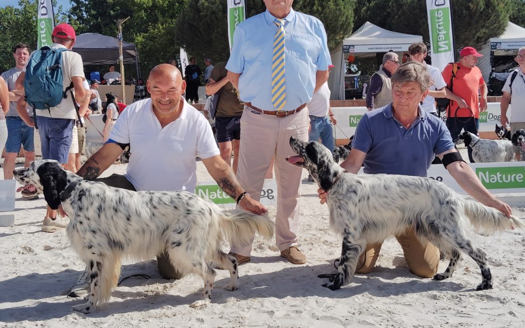 Game Fair 2026 (Lamotte-Beuvron, 41) : résultats des expositions des 13 & 14 juin
