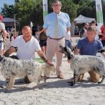 Game Fair 2026 (Lamotte-Beuvron, 41) : résultats des expositions des 13 & 14 juin