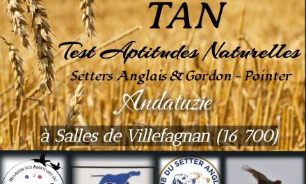 Andatuzie (16) : TAN samedi 18 juillet 2026