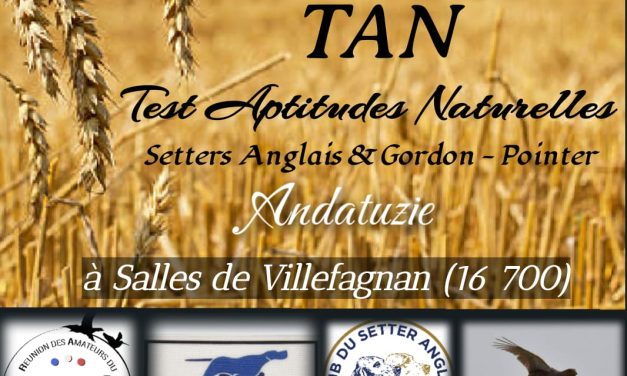 Andatuzie (16) : TAN samedi 18 juillet 2026