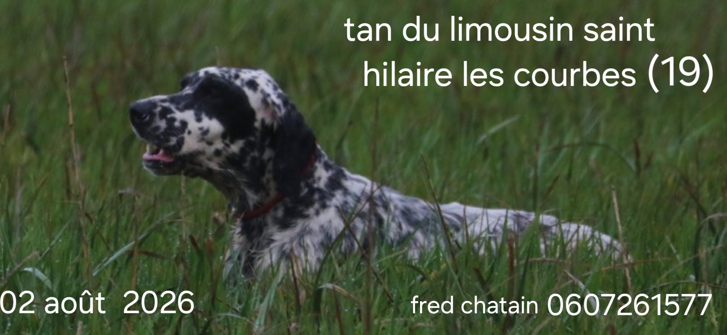 Saint-Hilaire-les-Courbes (19) : TAN dimanche 2 août 2026