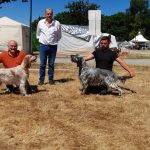 Résultats de l&rsquo;exposition de Châteaubriant (44) du 5 juillet 2026