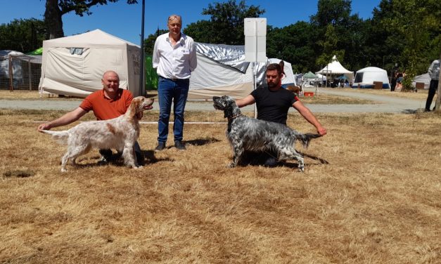 Résultats de l&rsquo;exposition de Châteaubriant (44) du 5 juillet 2026