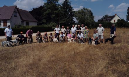 Résultats du TAN de Cléry-Saint-André (45) du 18/07/2026