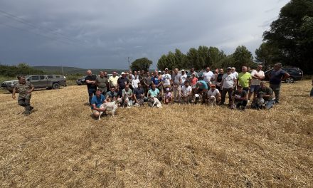 Résultats du TAN de Ginasservis (83) du 25 juillet 2026