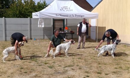 Résultats du TAN d&rsquo;Harbonnières (80) le 01/08/2026