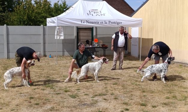 Résultats du TAN d&rsquo;Harbonnières (80) le 01/08/2026