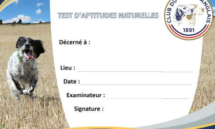Saint-Étienne-d&rsquo;Orthe (40) : résultats du TAN et de la JRSA des 08-09/08/2026