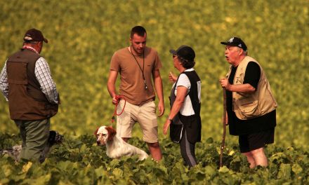 Résultats du TAN de Sainte-Marie-à-Py (51) du 1er août 2026