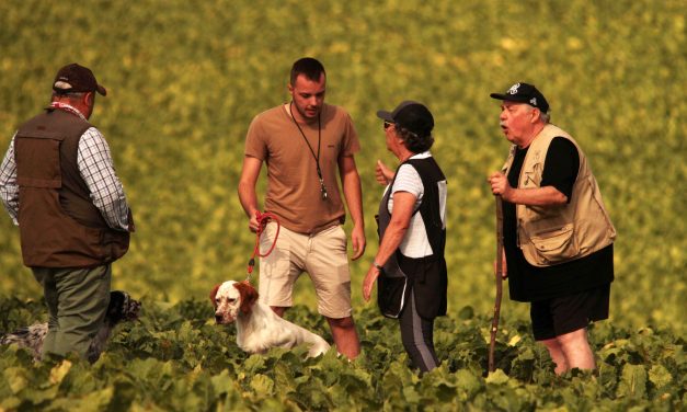 Résultats du TAN de Sainte-Marie-à-Py (51) du 1er août 2026