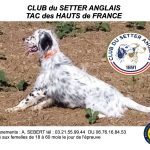 Couturelle (62) : TAC samedi 31 octobre 2026
