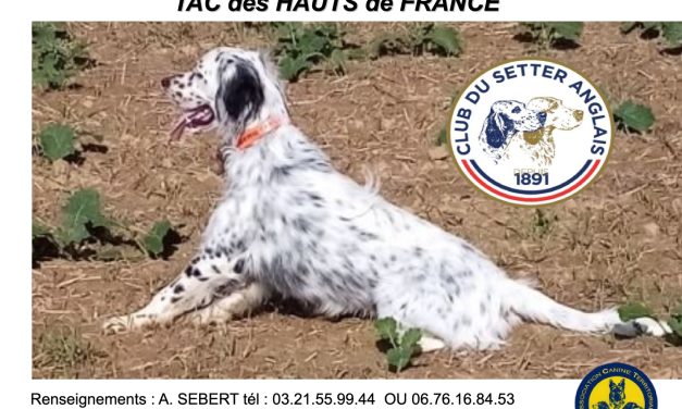 Couturelle (62) : TAC samedi 31 octobre 2026