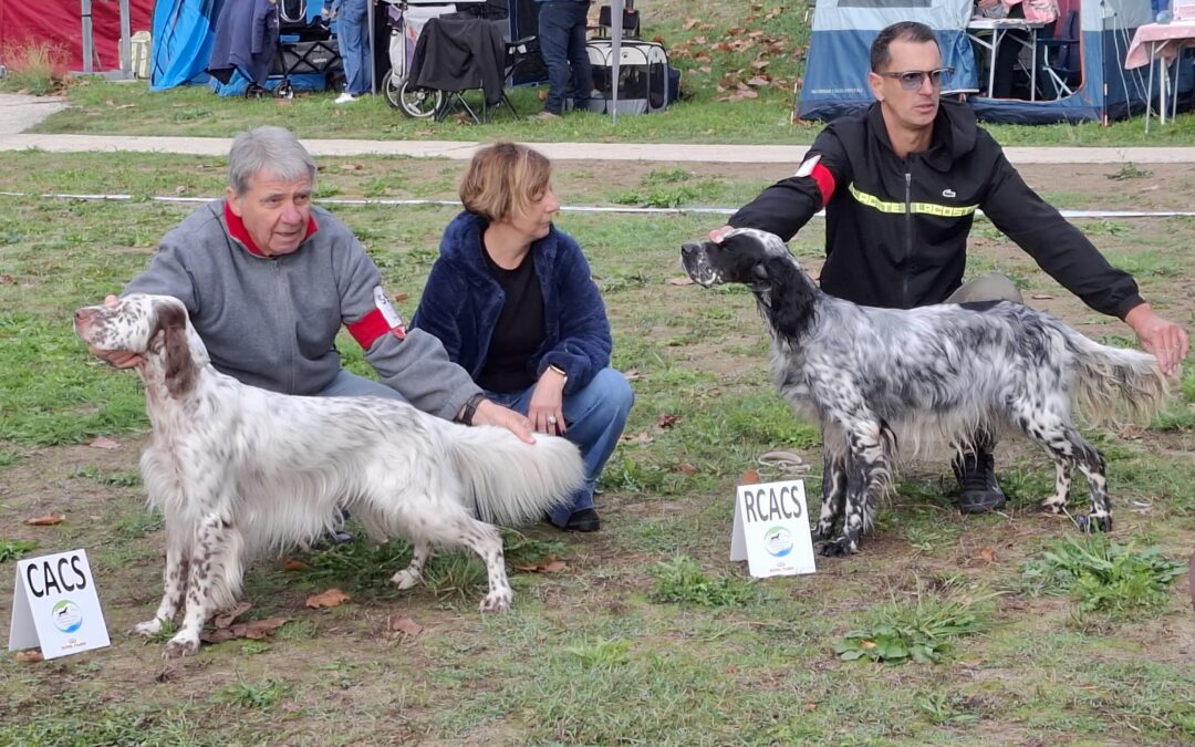Résultats de l&rsquo;exposition de Langon (33) du 11 octobre 2026