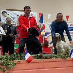 Open de France de gibier tiré (Herm, 40 – 17-18/10/2026)