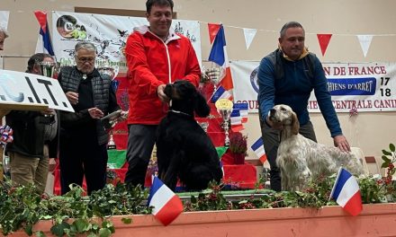 Open de France de gibier tiré (Herm, 40 – 17-18/10/2026)