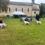 Herm (40) : résultats de l&rsquo;exposition du 17 octobre 2026