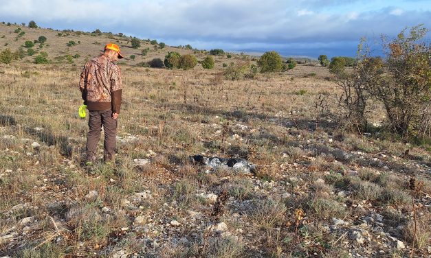 Saint-Maurice-Navacelles (34) : résultats du TAC du 24 octobre 2026